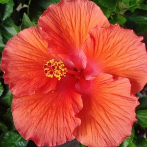 Meet your Posher, Gary